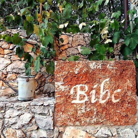 Bibc Wine & Holiday Триест Экстерьер фото